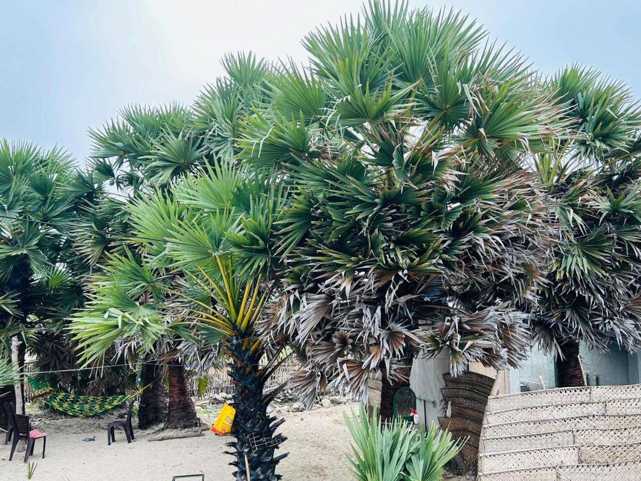 Delft Jeyam Resorts Delft East المظهر الخارجي الصورة
